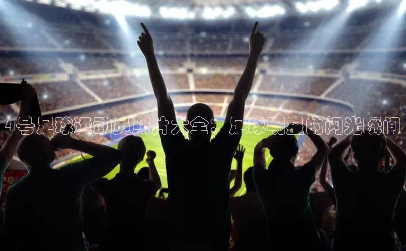 熊猫体育app下载安装百度数据开放平台