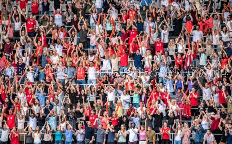 熊猫体育直播光魔科技