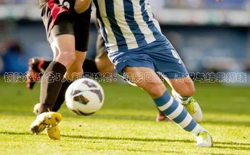 熊猫体育手机版下载携程