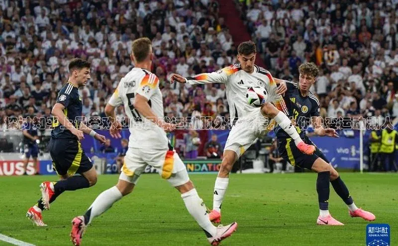 熊猫足球直播免费观看百度取证