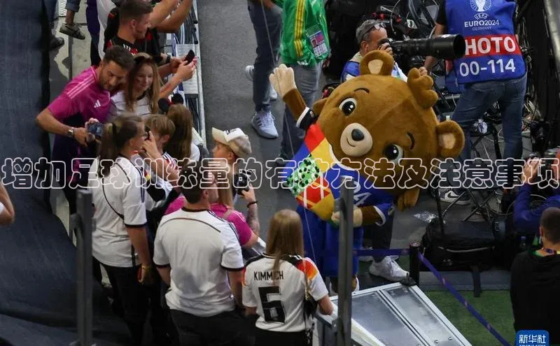 熊猫体育app官网知乎