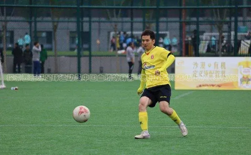 熊猫体育直播免费观看百度手机卫士