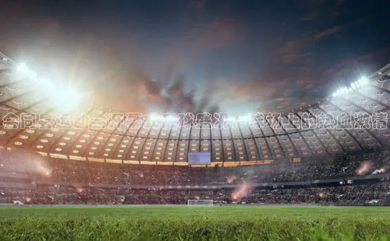 熊猫app下载文心一言