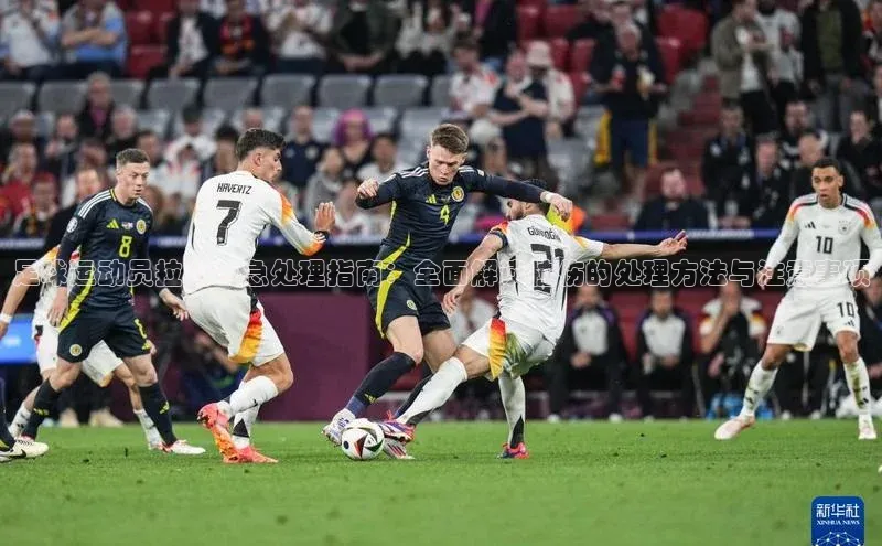 熊猫体育app下载华策影视