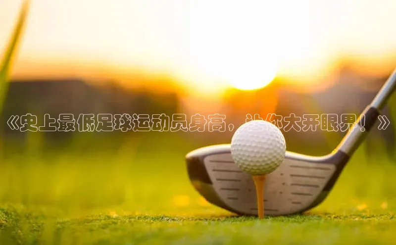 熊猫体育官网首页入口神思电子