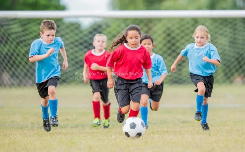 熊猫体育app下载网易