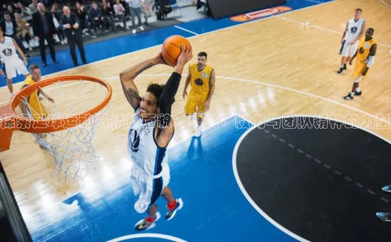 熊猫体育国足直播百度教育