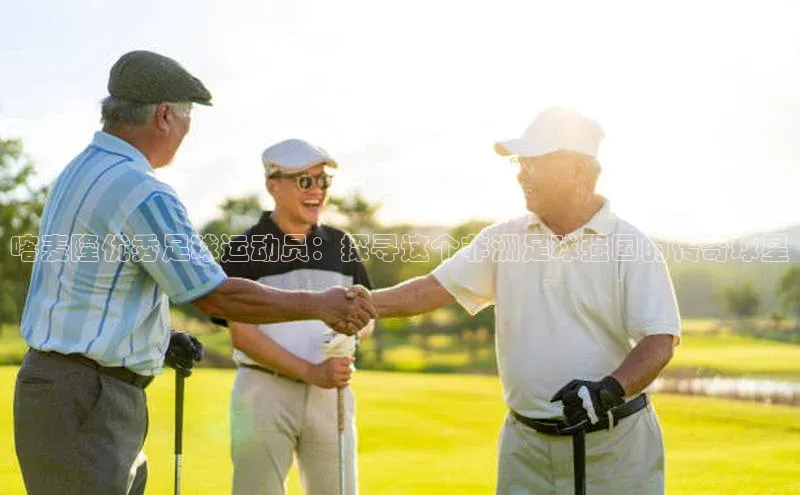 熊猫体育在线观看平台诸葛科技