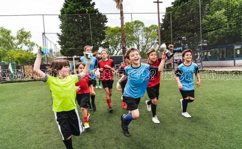 熊猫体育app下载网易