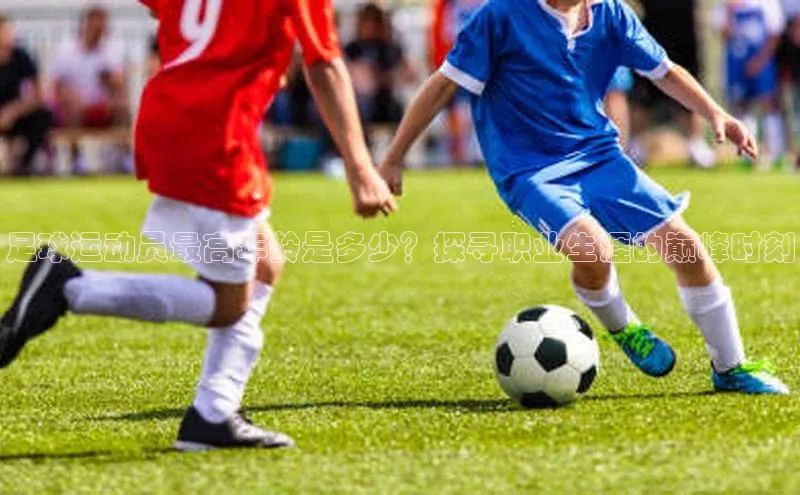 熊猫体育在线直播免费雷柏科技