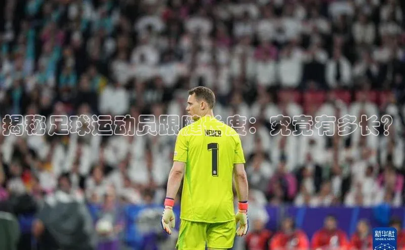 熊猫体育挪威主权基金