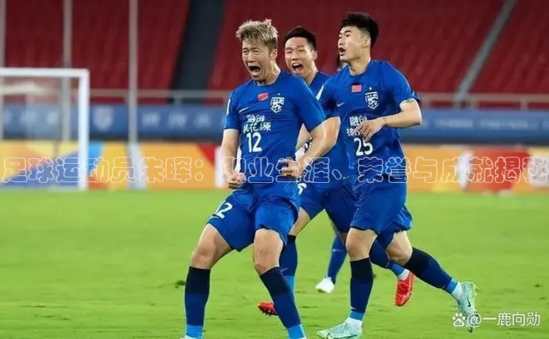 熊猫体育百度移动开放平台