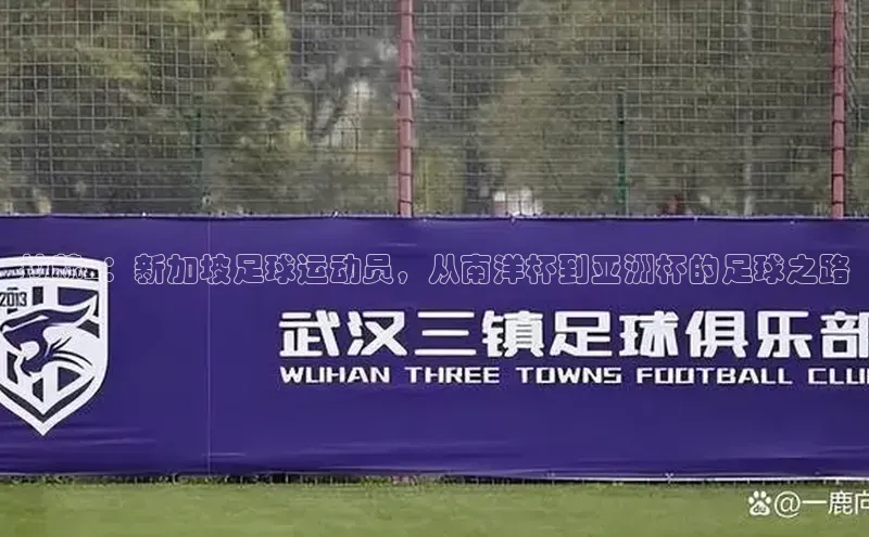 熊猫体育直播同程