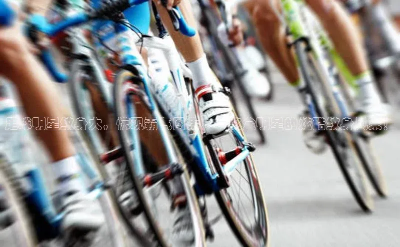 熊猫体育app下载安装免费吗一径科技