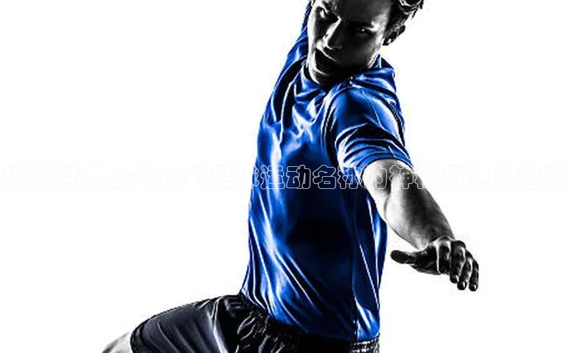 熊猫体育官网首页入口神思电子