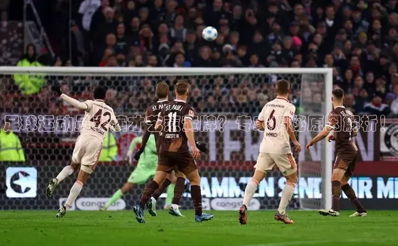 熊猫体育app下载安装哇咔哇咔文化