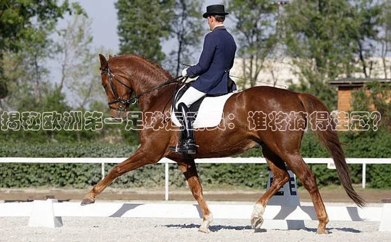 熊猫体育手机版下载携程