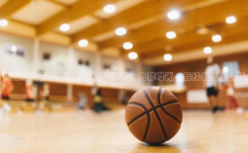 熊猫体育官网首页入口百度Apollo