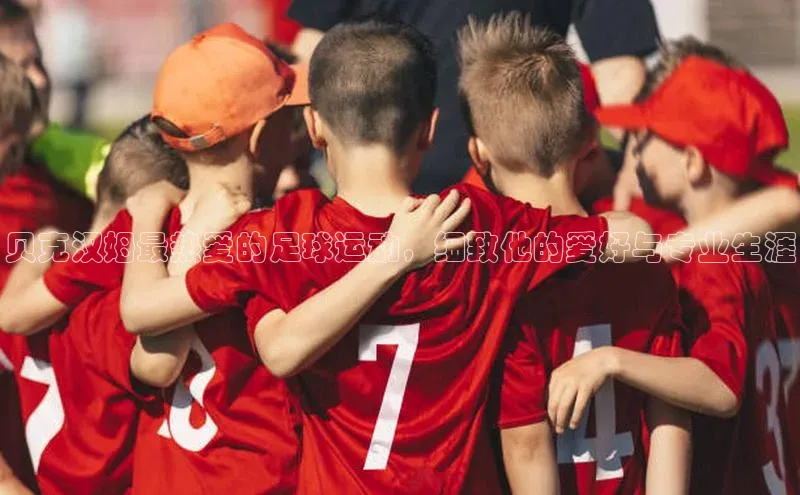 熊猫app下载文心一言