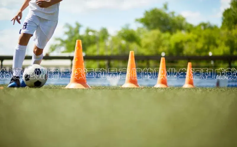 熊猫体育app下载百度搜索资源平台