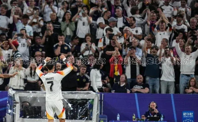 熊猫体育app百度手机助手