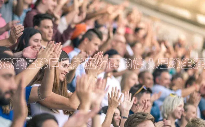 熊猫体育在线直播免费雷柏科技