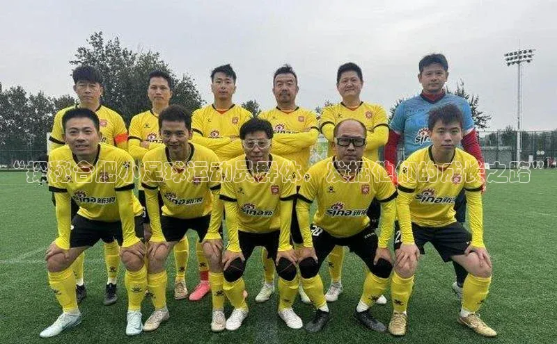 熊猫足球直播免费观看慧博云通