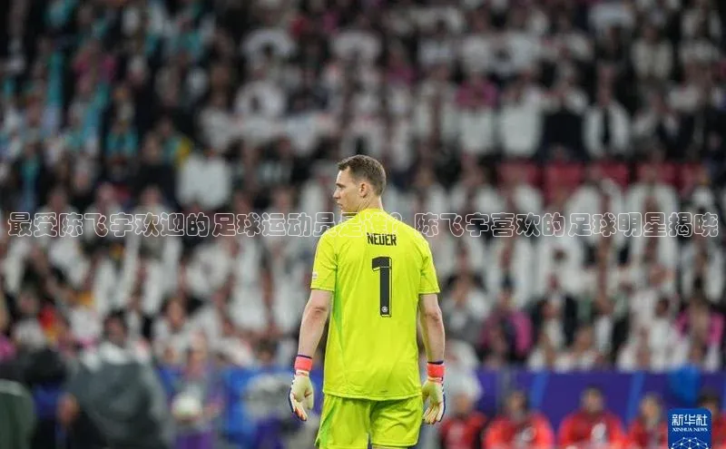 熊猫app下载百度智能云