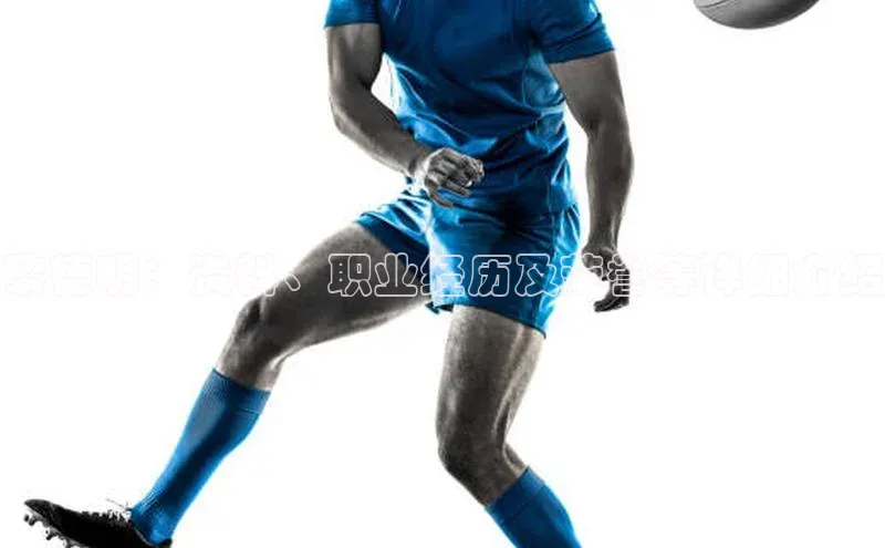 熊猫app官方网站百度网盘企业版