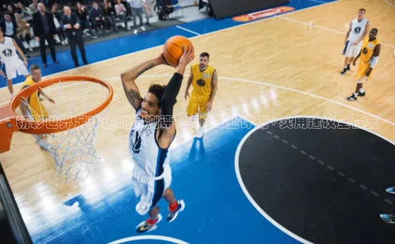 熊猫体育app官网路畅科技