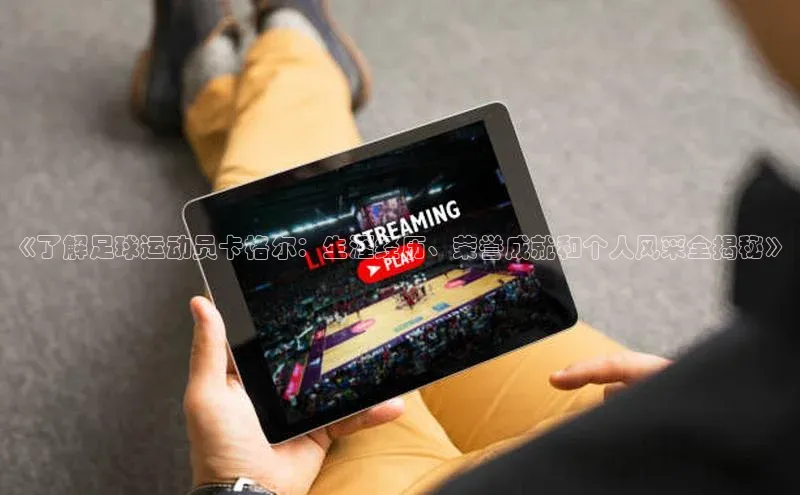 熊猫体育app下载安装百度数据开放平台