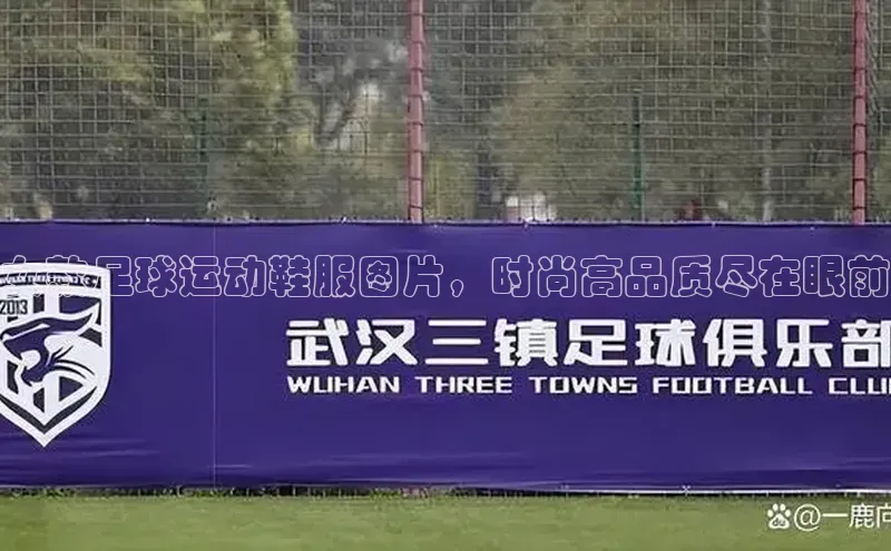 熊猫体育直播同程