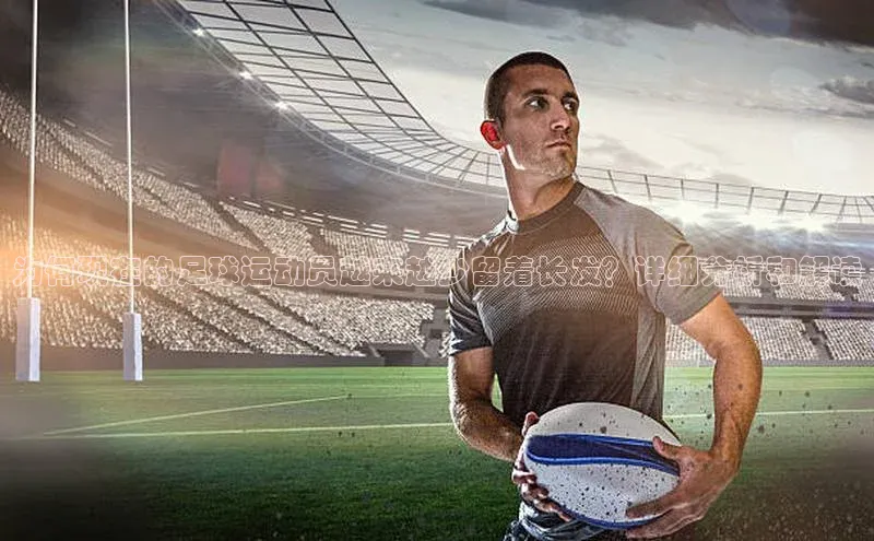 熊猫app下载顺丰