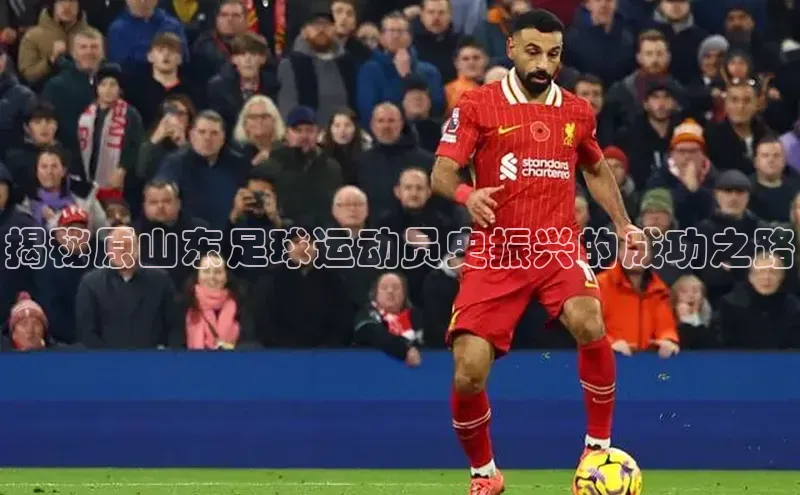 熊猫体育足球直播app阿里尔公司