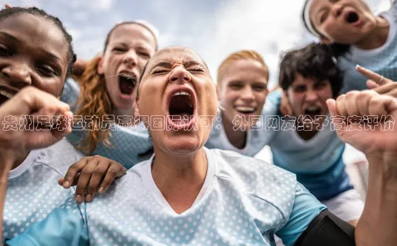 熊猫足球直播百度网盘