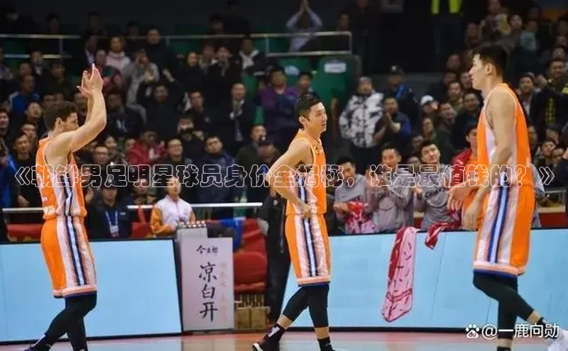 熊猫体育直播免费观看百度手机卫士