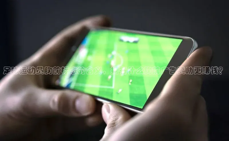 熊猫体育直播免费足球华扬联众