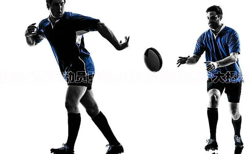 熊猫体育app官网知乎