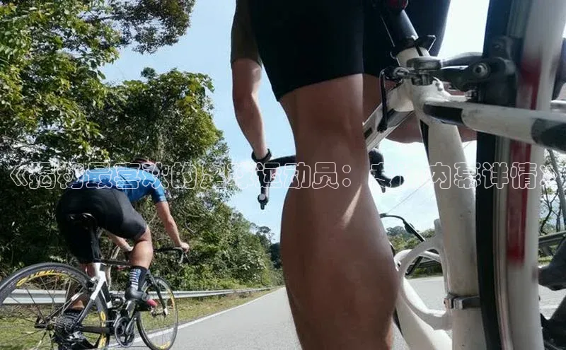 熊猫体育在线直播免费雷柏科技