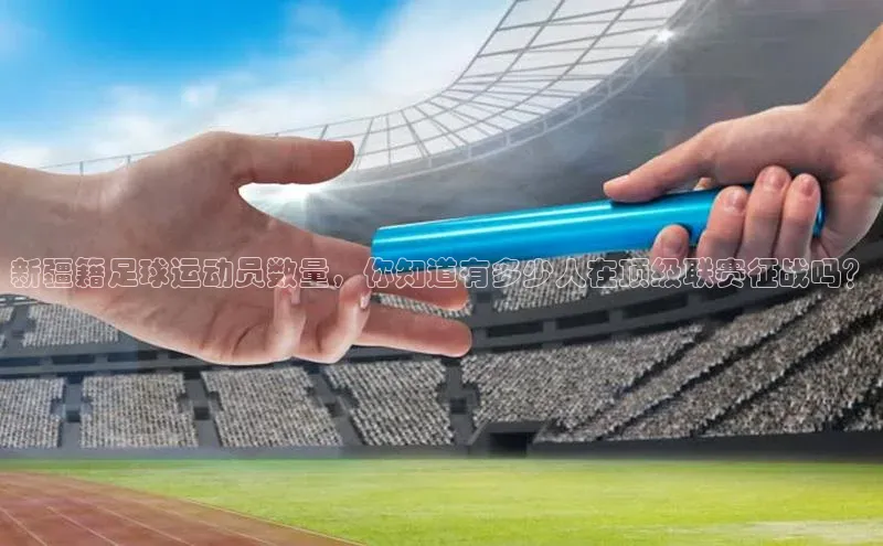 熊猫足球直播免费观看百度取证