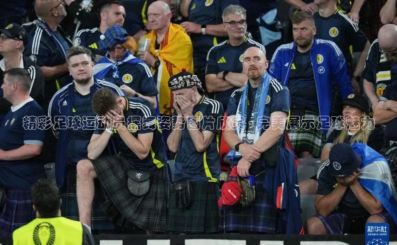 熊猫体育app百度手机助手