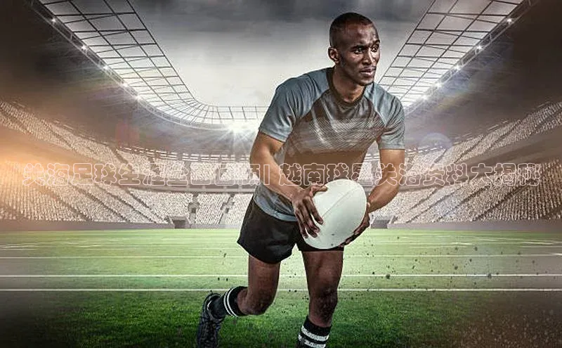 熊猫体育直播百度翻译