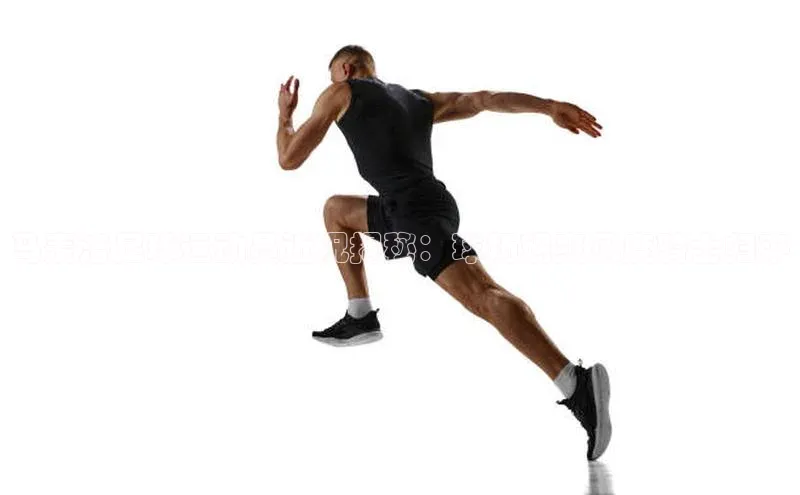 熊猫体育入口中海达