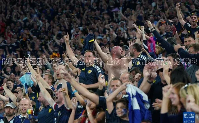 熊猫体育足球直播app百度 H5