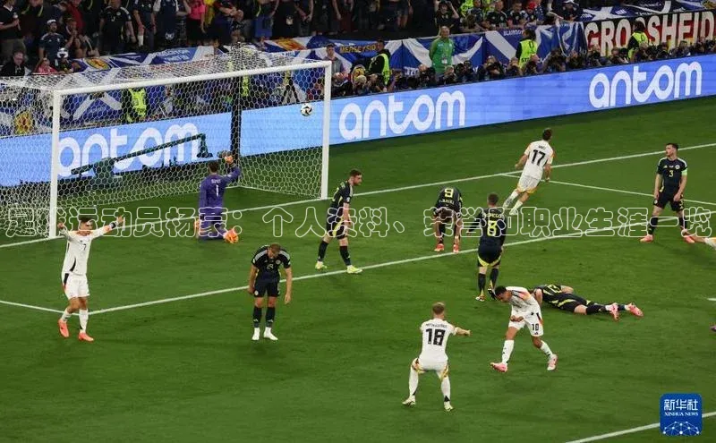 熊猫足球直播免费观看小米