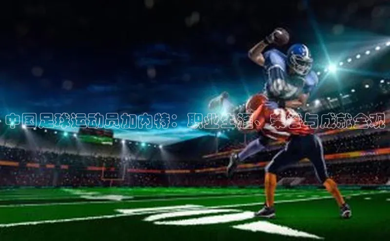 熊猫足球直播金山办公