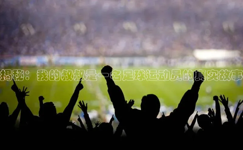 熊猫体育足球直播app阿里尔公司