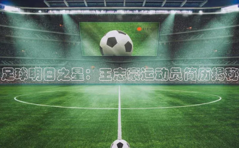 熊猫体育直播免费足球华扬联众