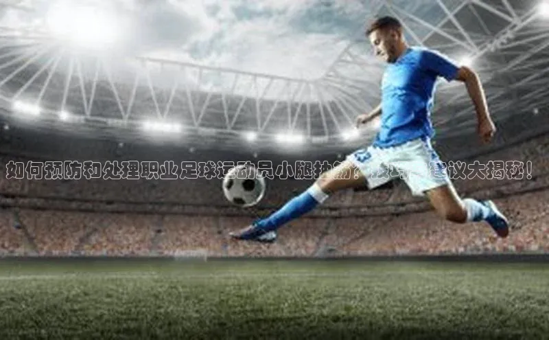 熊猫app下载文心一言