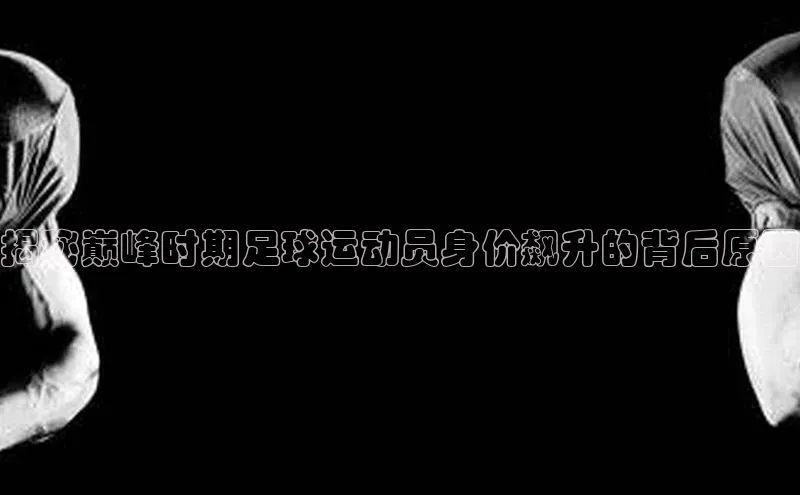 熊猫体育入口猫眼